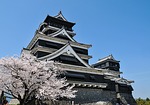 Erstes Kirschblütengespräch japanischer Pharmaunternehmen in Österreich